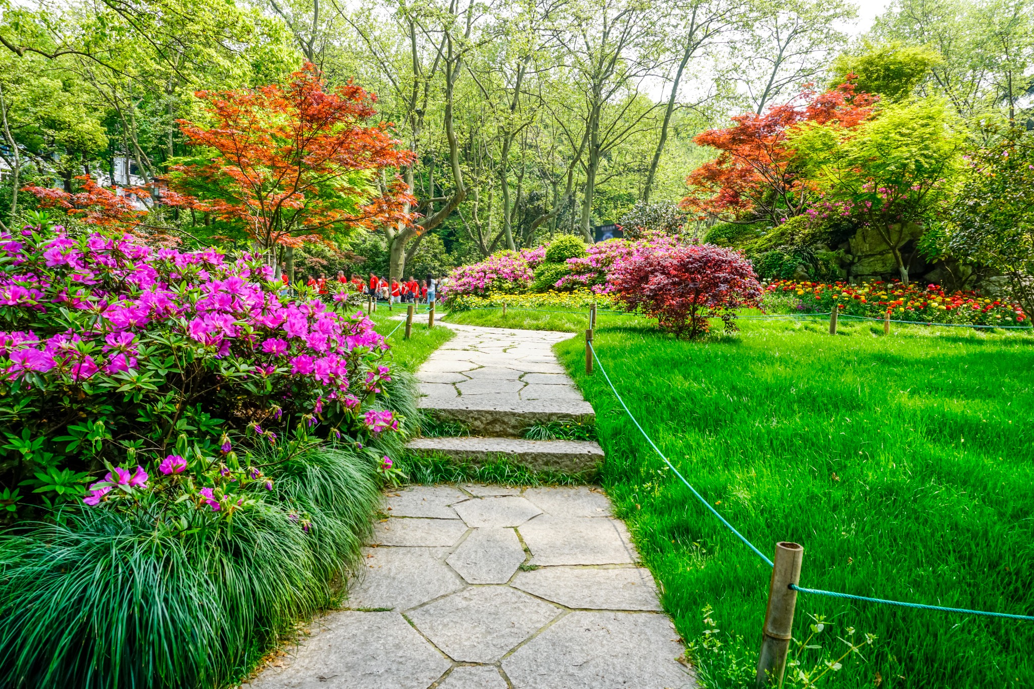 Elegant British garden with mixed borders and lawn in Herefordshire