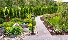 Paved path and evergreen hedge in a neat front garden
