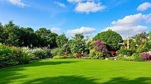 Open lawn framed by shrubs and seasonal colour