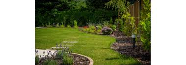 Minimalist garden with clean edging and simple planting